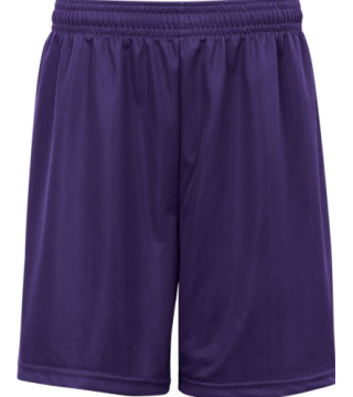 Badger Shorts Dry Fit 9